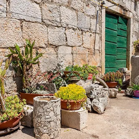 With A Parking Space Zrnovo, Korcula - 9239 아파트 *